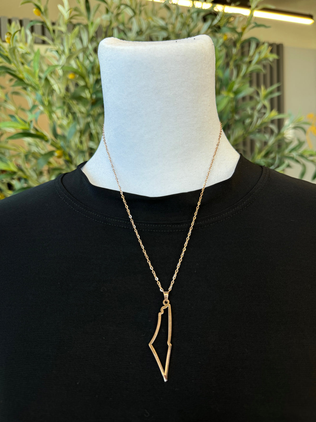 Pali Necklace - Rose Gold Map